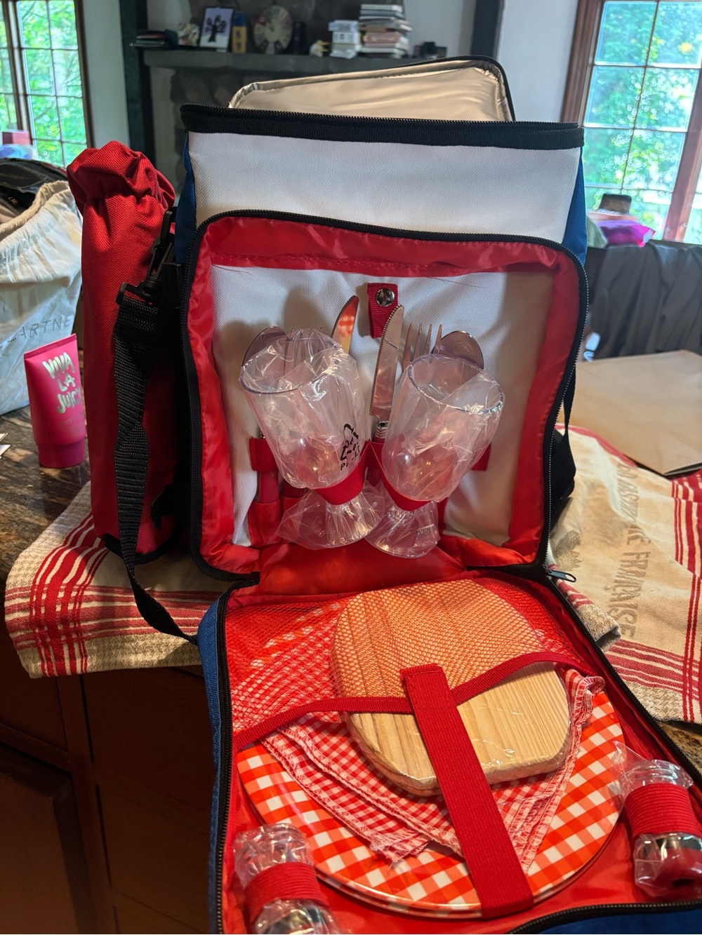 PICNIC READY!! NEW Adorable Blue and Red Insulated Picnic Backpack Set - a - Picture 2 of 8